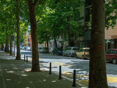 Izvodjenje radova na rekonstrukciji Ulice Vuka Karadžića